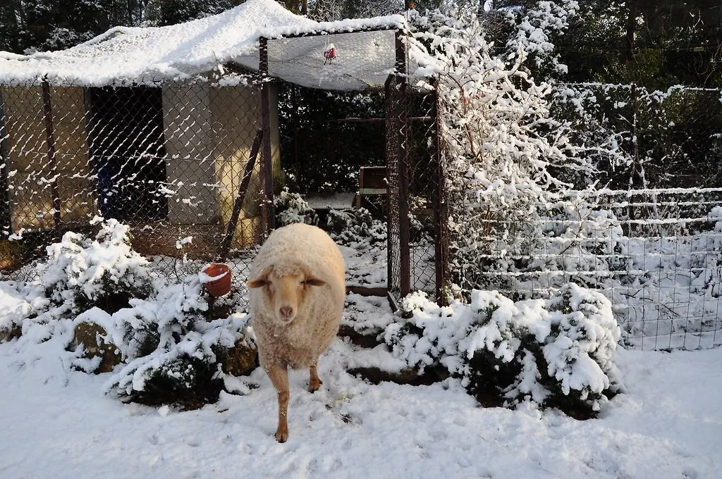La Masure Bed & Breakfast Gemenos France