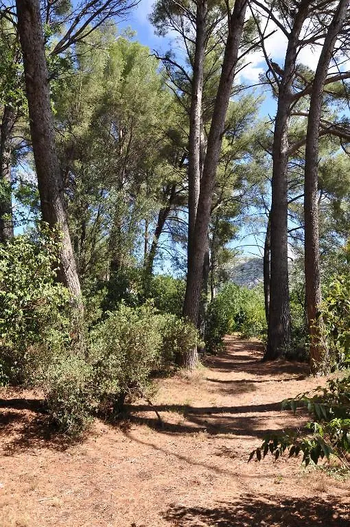 La Masure Bed & Breakfast Gemenos 3*,  France